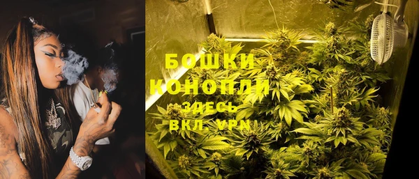 apvp Богородск