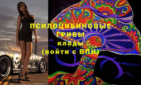 apvp Богородск