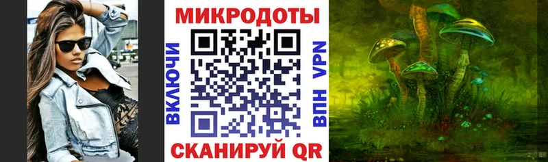 закладка  Ачинск  Псилоцибиновые грибы GOLDEN TEACHER 